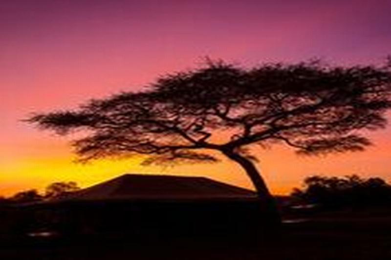 Soronera Kisura Serengeti Camp מראה חיצוני תמונה