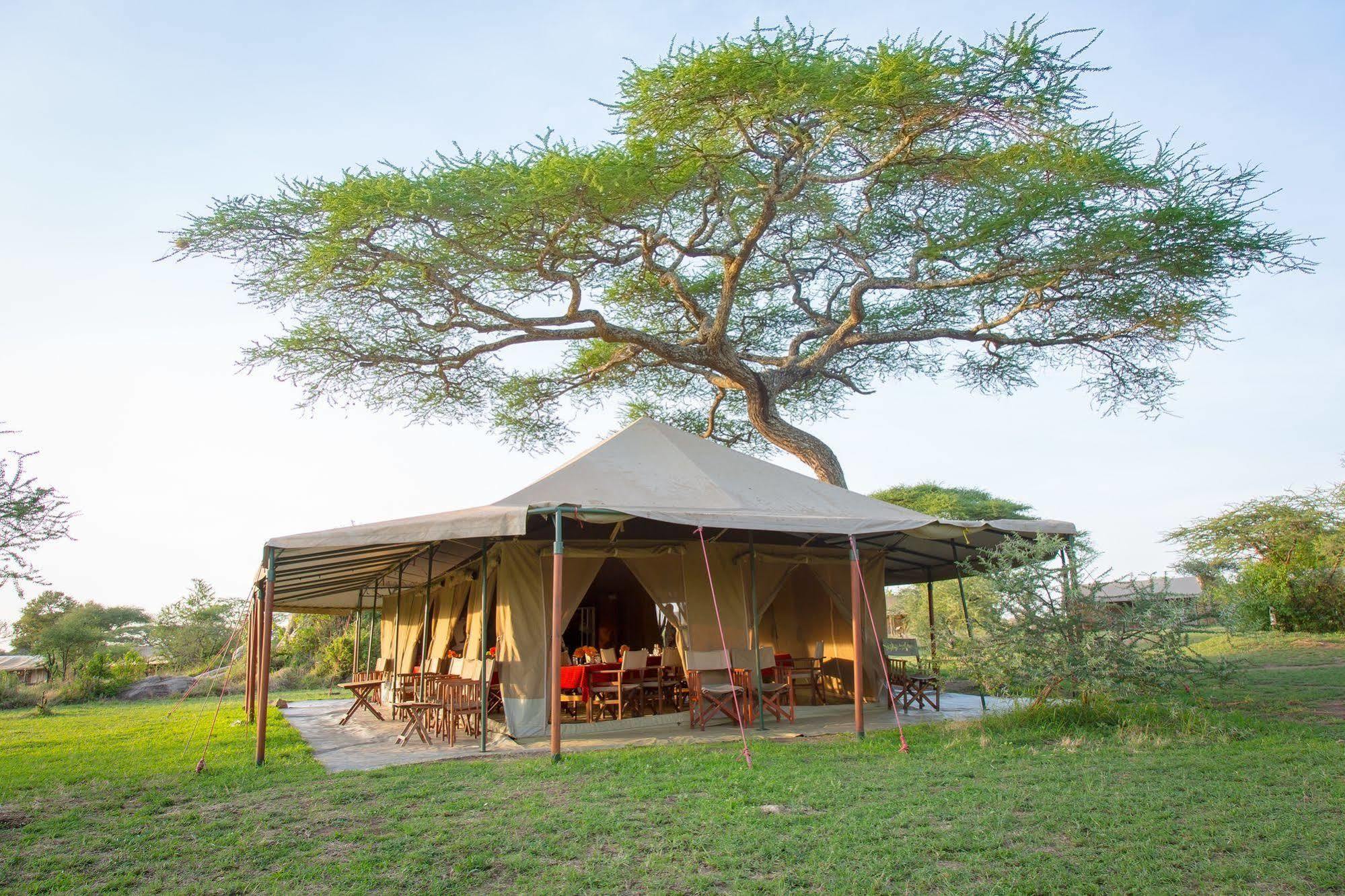 Soronera Kisura Serengeti Camp מראה חיצוני תמונה