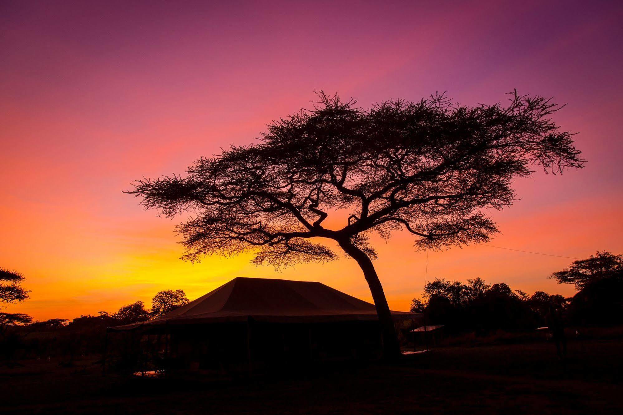 Soronera Kisura Serengeti Camp מראה חיצוני תמונה